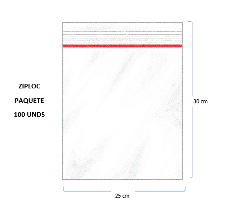 Bolsa Ziploc 25x30 x100und